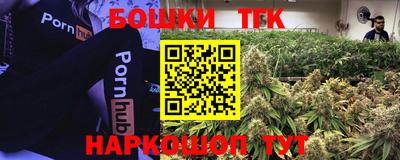 гидра Берёзовский