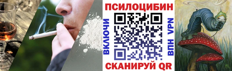 shop клад  Гатчина  Галлюциногенные грибы Magic Shrooms 