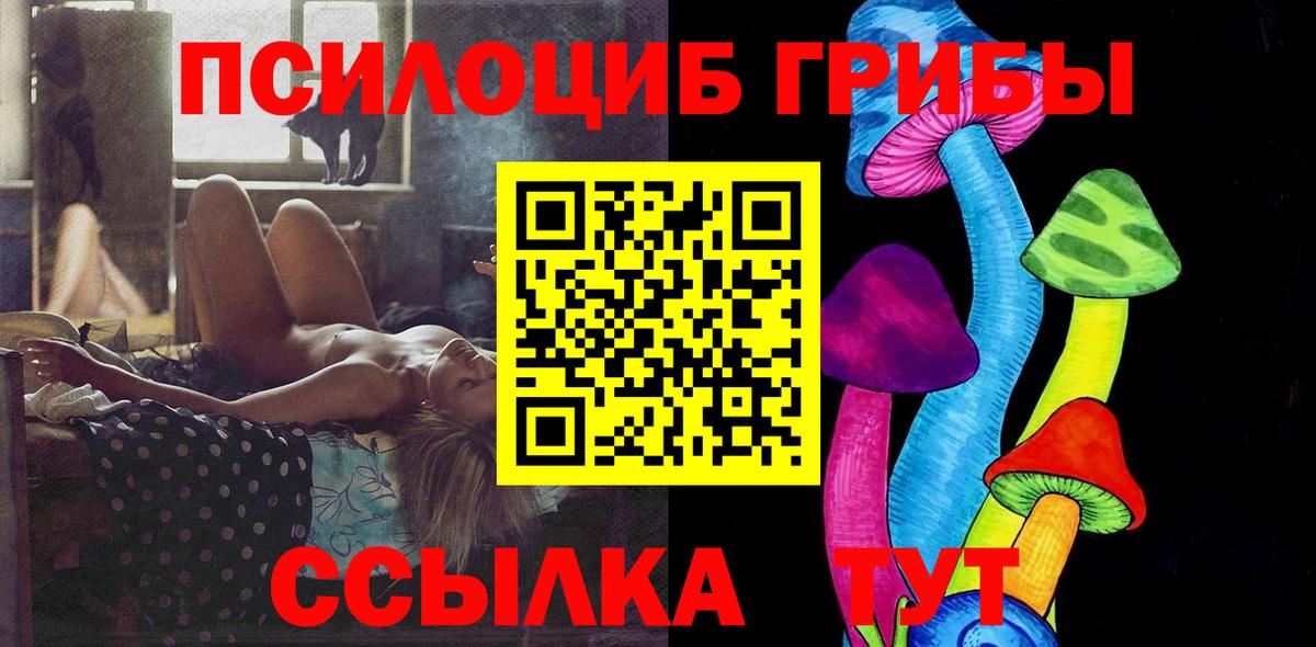 Псилоцибиновые грибы Psilocybine cubensis  Вход с VPN  Гатчина  Псилоцибиновые грибы прущие грибы 
