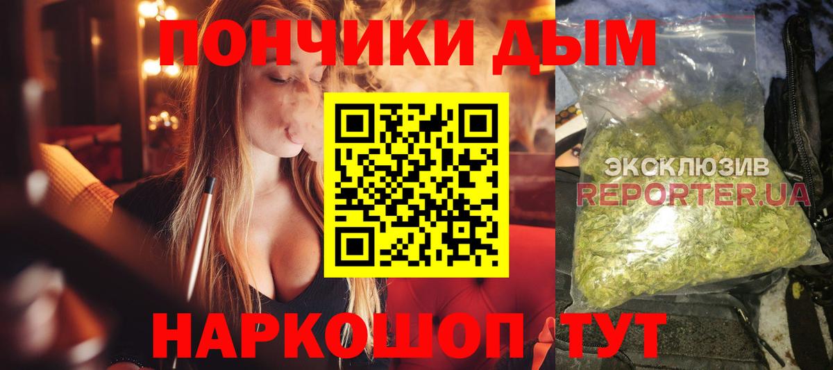 Шишки марихуана планчик Гатчина